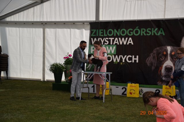 psydz1 73